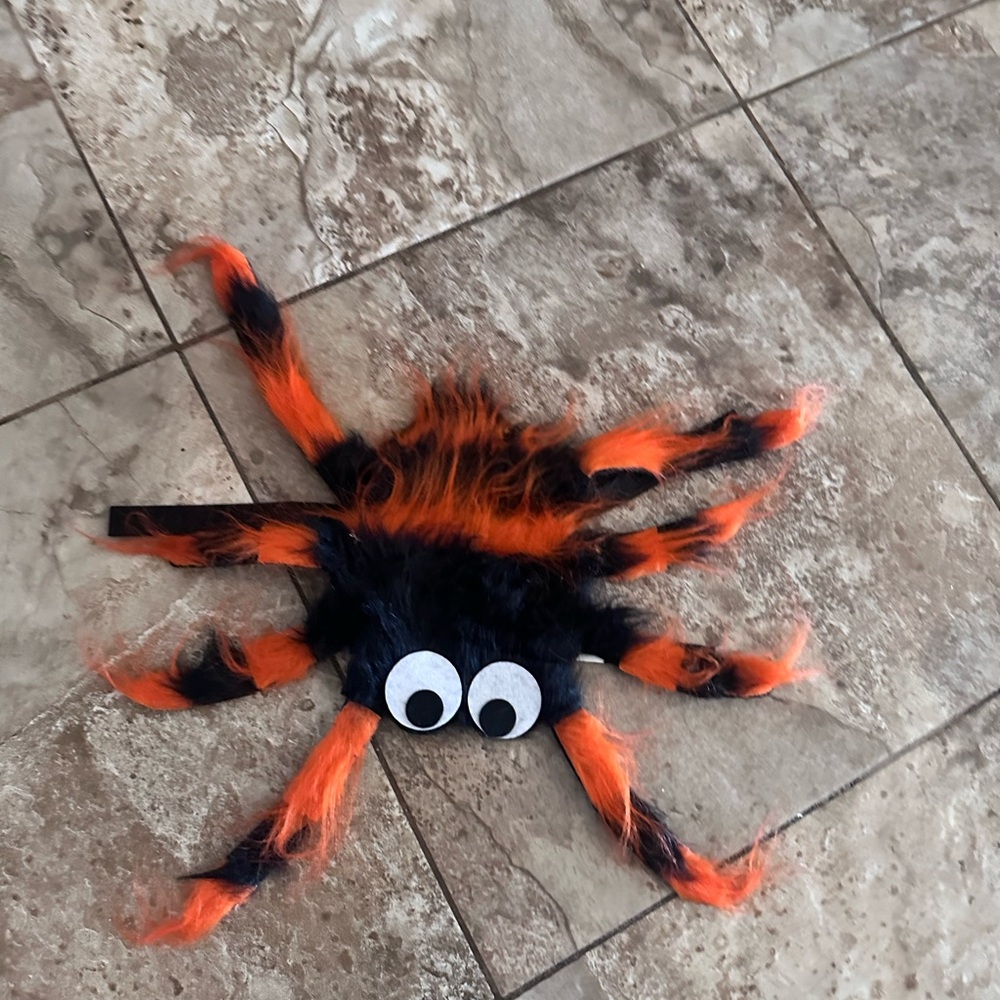 Pet Costume Spider